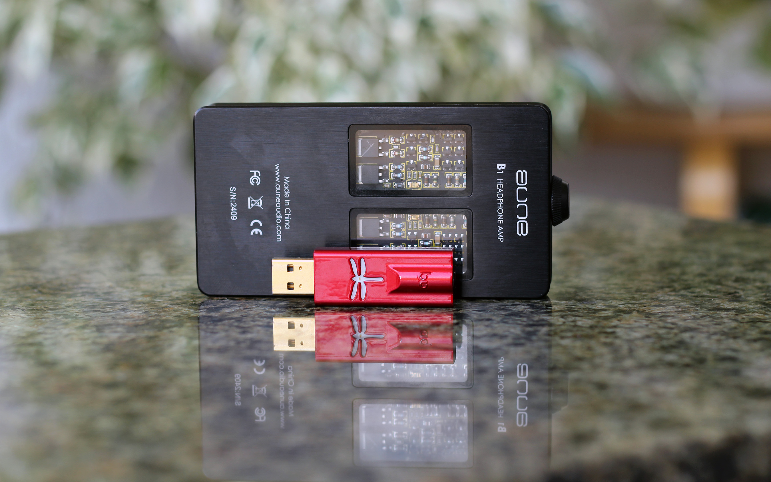 Audioquest Dragonfly Red – Review